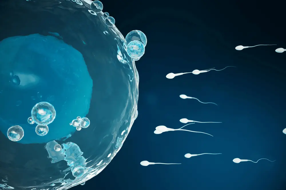 Male Sperm Retrieval Techniques