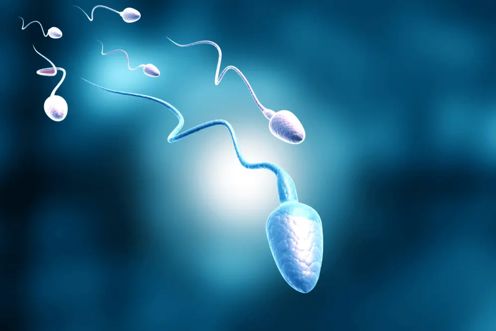 Testicular Sperm Aspiration (TESA)