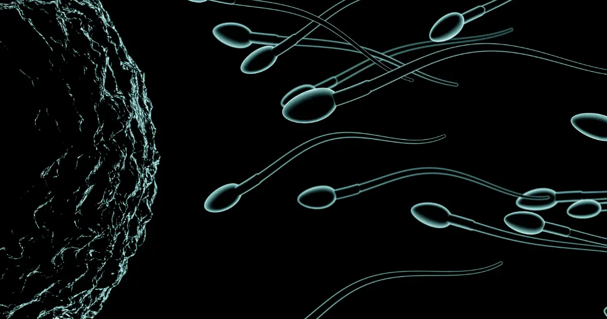 Male Fertility Azoospermia, Fertility Preservation, and Lifestyle Factors