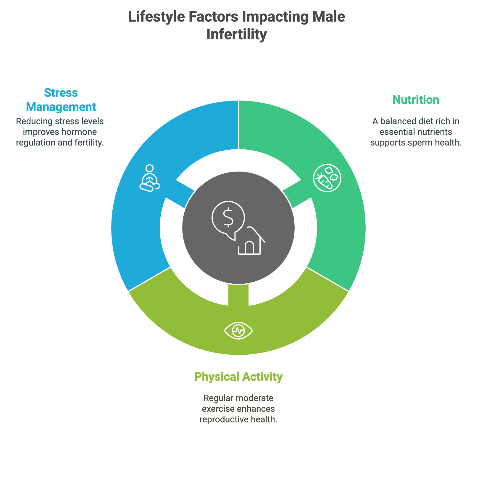 Lifestyle Factors Impacting Male Infertility