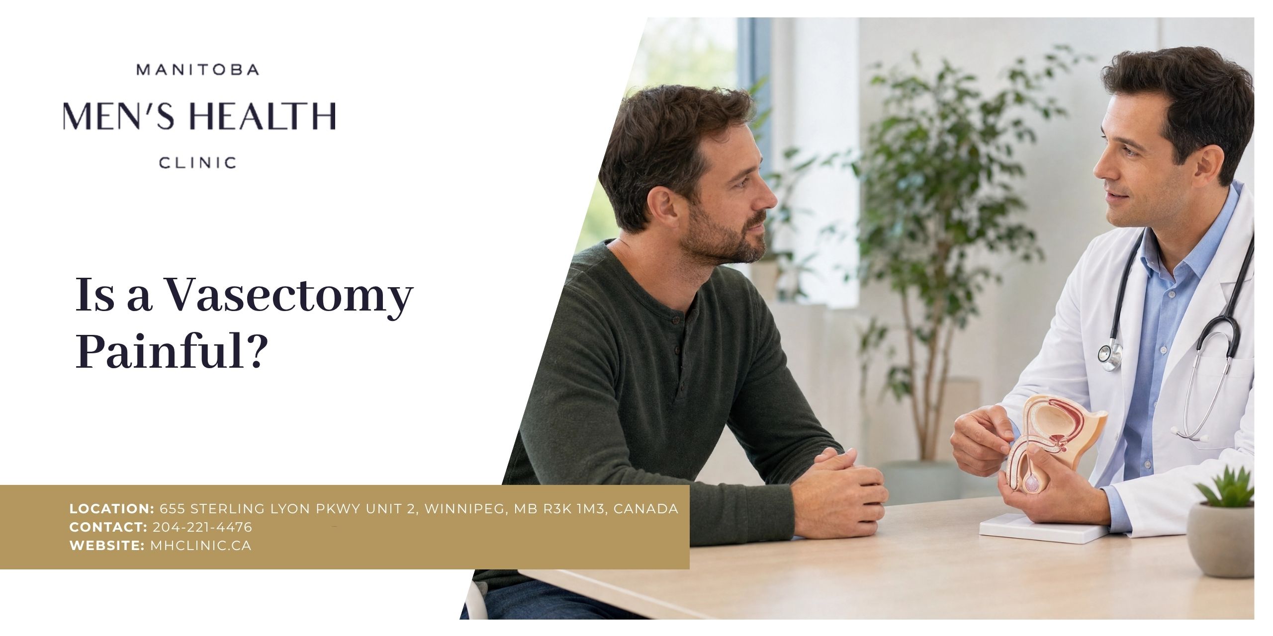 Is Vasectomy Painful? | What to Expect During and After the Procedure